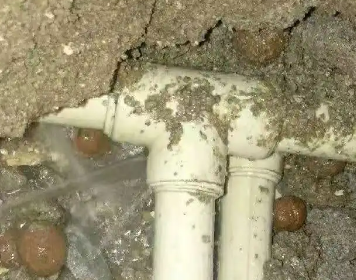 巴宜测漏水多少钱