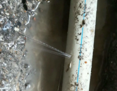 巴宜测漏水哪家好