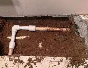 巴宜测漏水哪家好