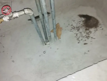 巴宜卫生间测漏水价格明细