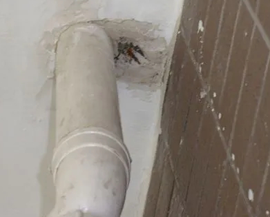 巴宜漏水检测哪家好